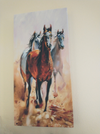 Customer Photos - Anonymous - AcousticART : Horses Portrait Oil Painting