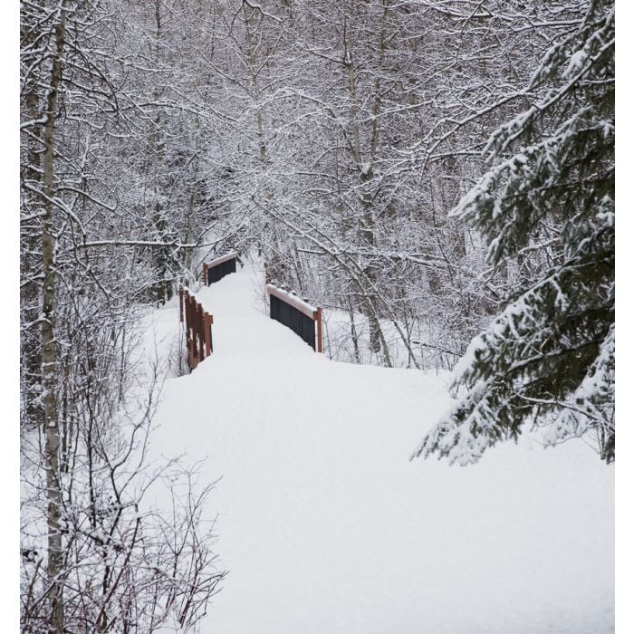 Snow On A Bridge In The Forest - ID # 13951487