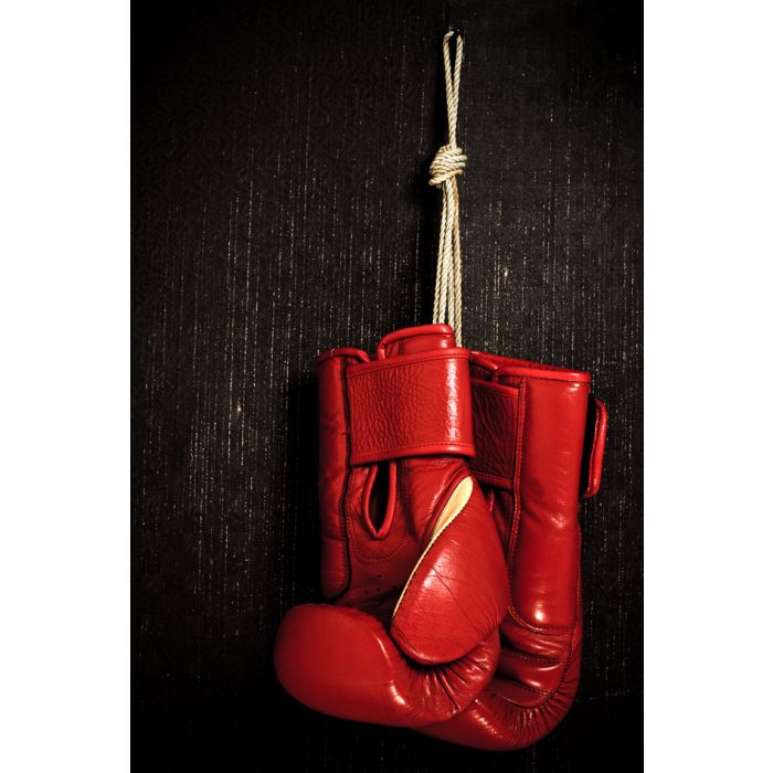 Boxing - Glove Hanging On Grunge Background - ID # 14322372