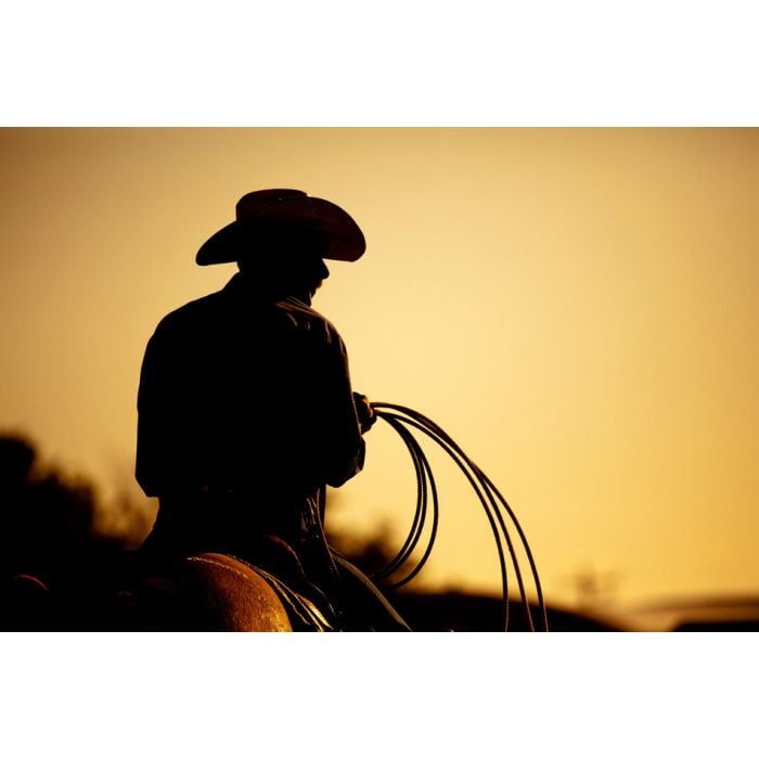 Rodeo Cowboy Silhouette - ID # 20168558