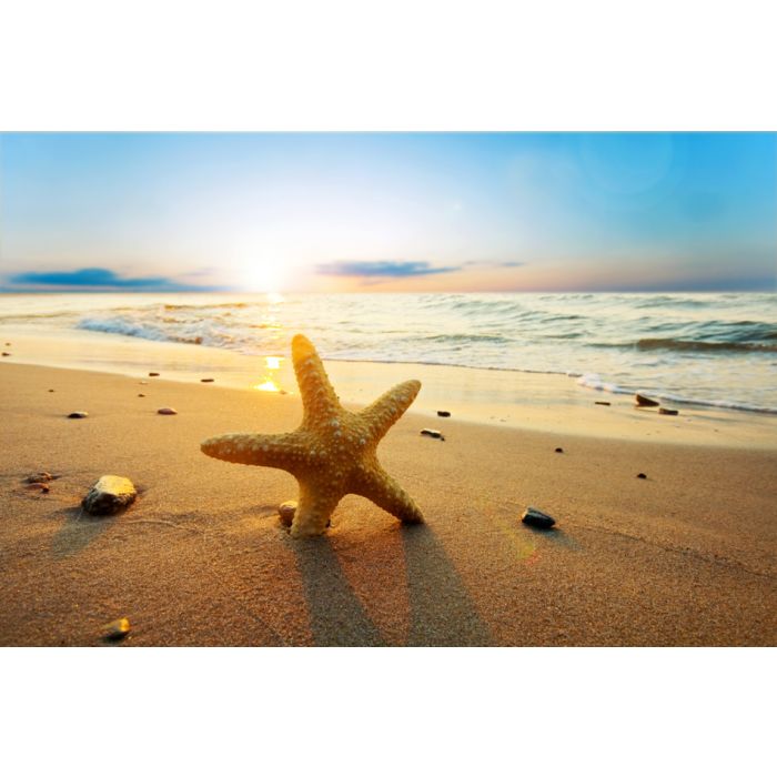 Starfish On The Beach - ID # 21858060