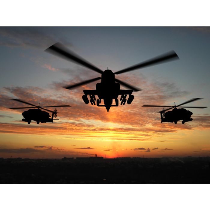 Silhouette Of Helicopter Over Sunset - ID # 2597149