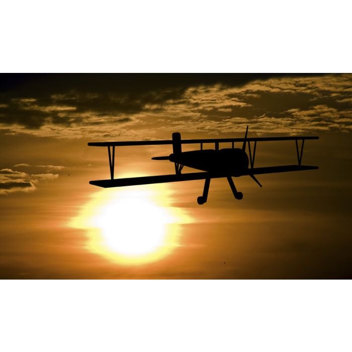 Airplane And Sunset - ID # 26817733