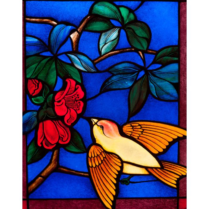 Colorful Stained Glass Style Dove Of Peace - ID # 27172637