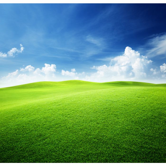 Green Field And Blue Sky - ID # 28012512