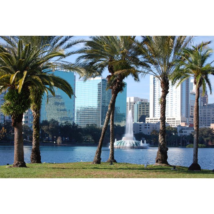 Orlando - Florida - Lake Eola And Palm Trees - ID # 29004498