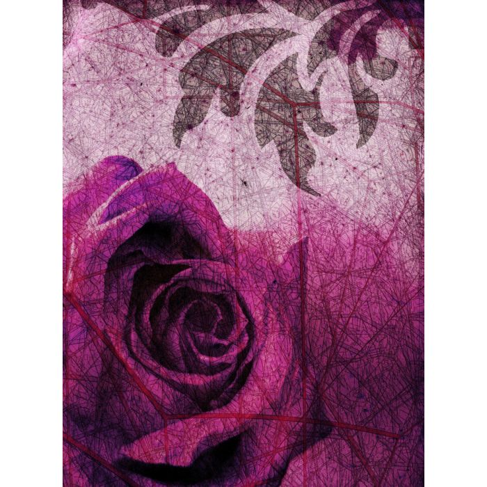 Purple Rose Background - ID # 3030339