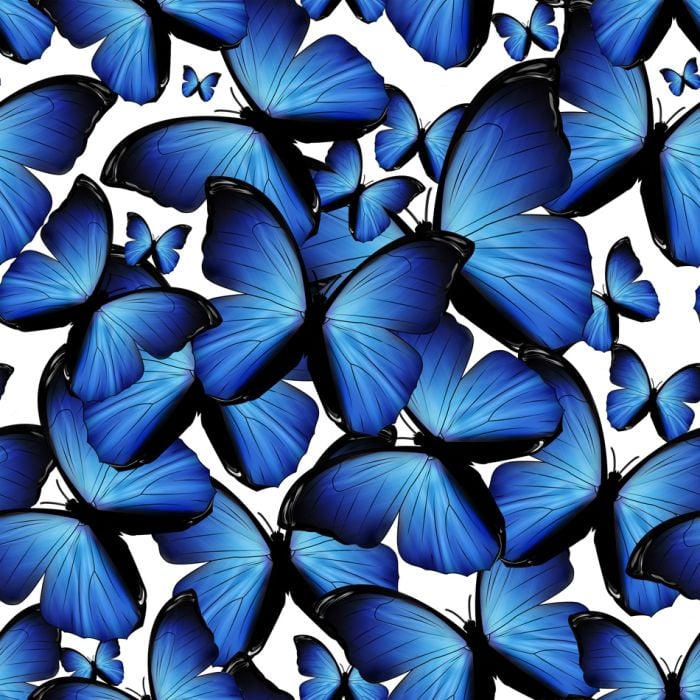 Seamless Background With Blue Butterflies - ID # 30470572