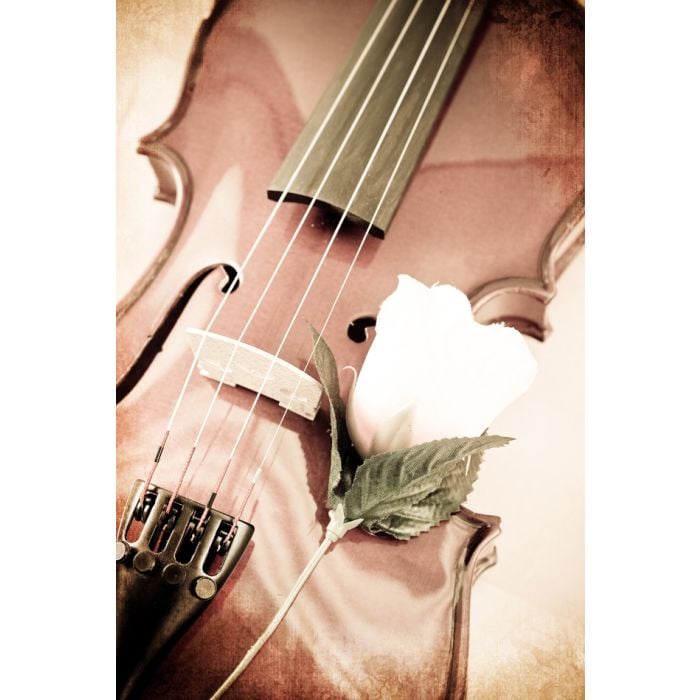 Violin And A Rose In Grunged Texture - ID # 32647764