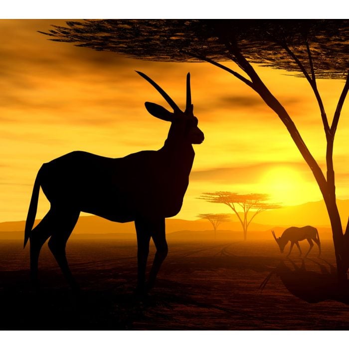 Safari African Spirit - Antilope