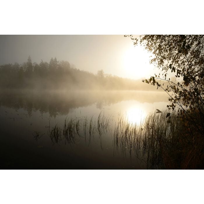 Mornings Fog Over The Lake - ID # 36798038