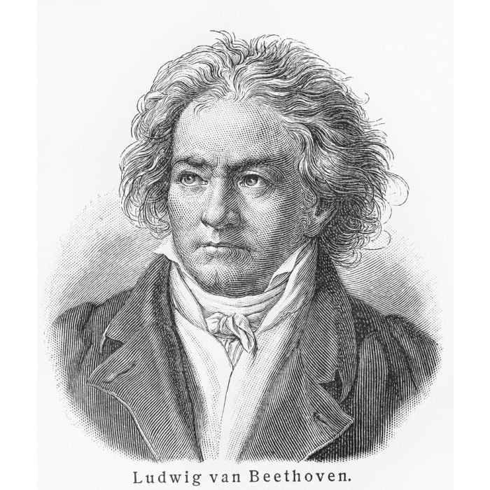 Ludwig Van Beethoven - ID # 37313223