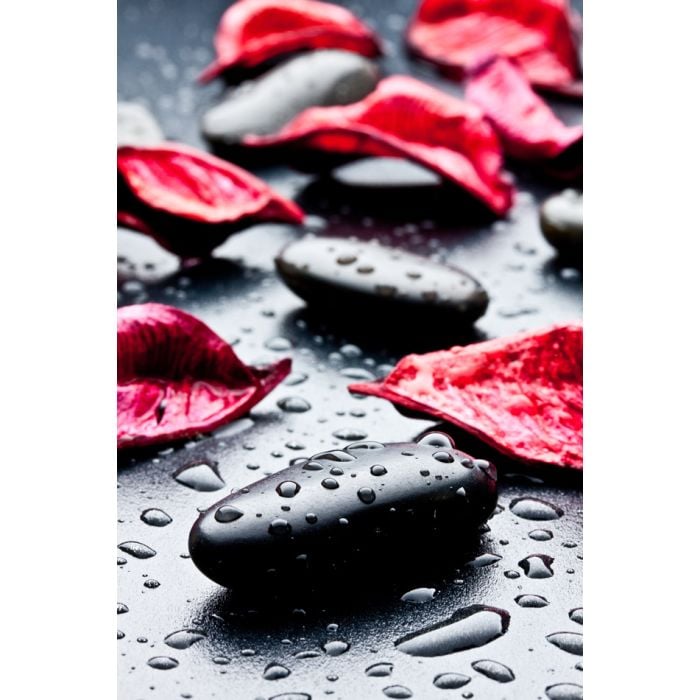 Black Stone With Water Drops And Red Petals - ID # 38199951