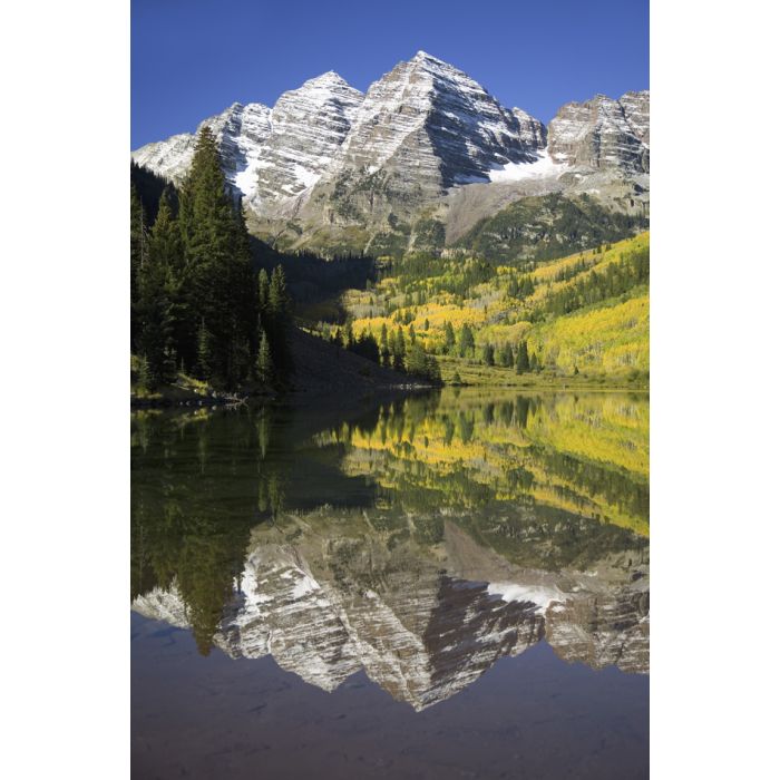 Autumn Colors Of Aspens Reflecting In Lake 1 - ID # 43216844