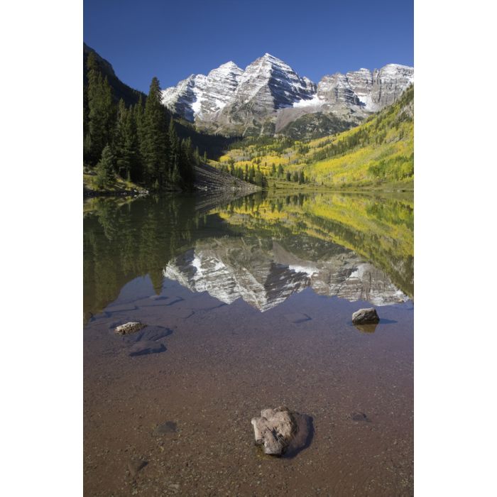 Autumn Colors Of Aspens Reflecting In Lake 2 - ID # 43216890