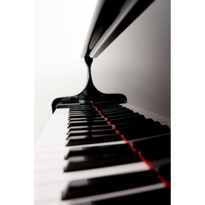 Closeup Of Grand Piano Keys - ID # 4904520