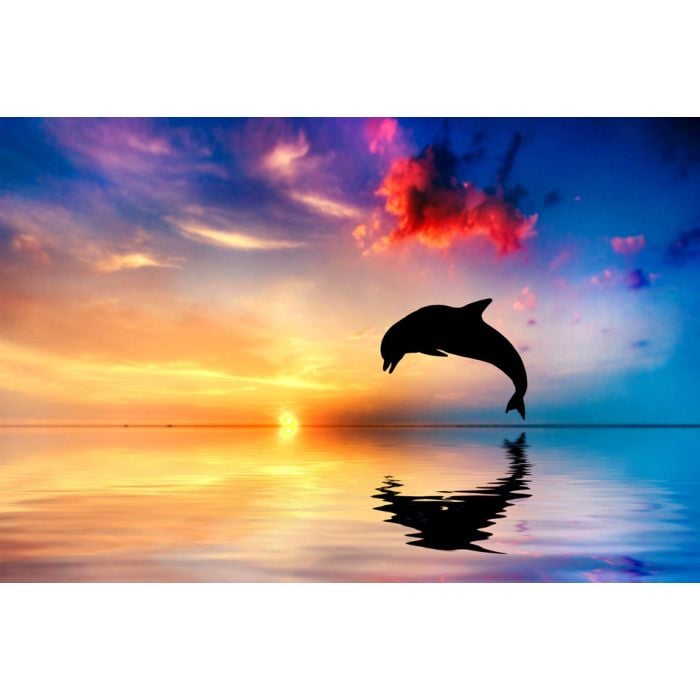 Beautiful Ocean And Sunset - Dolphin Jumping - ID # 50475395