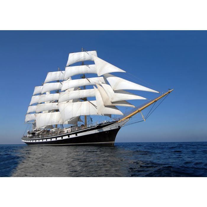 Sailing Ship - ID # 51051761