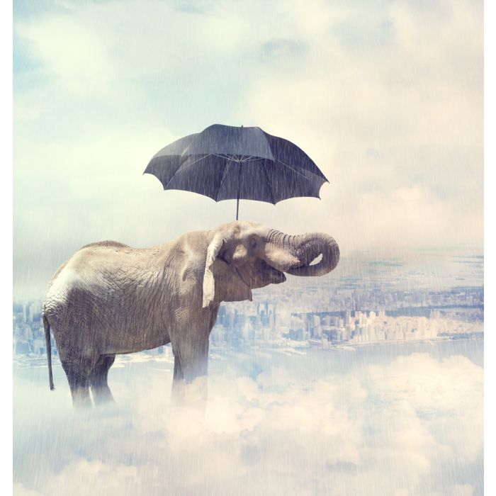 Elephant Enjoying Rain Avobe The City On The Clouds - ID # 52707286