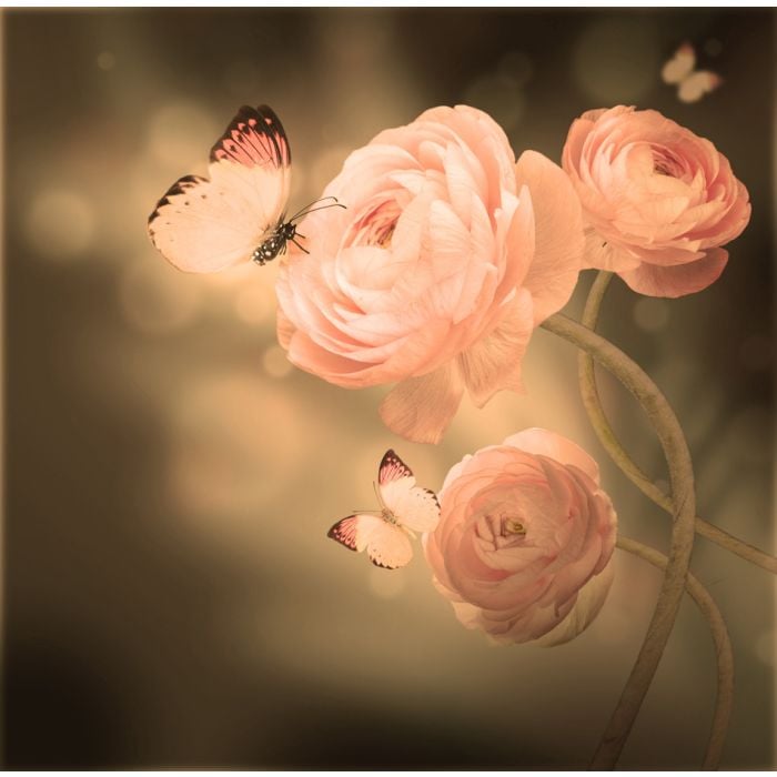 Bouquet Of Pink Roses Against A Dark Butterfly - ID # 52744741