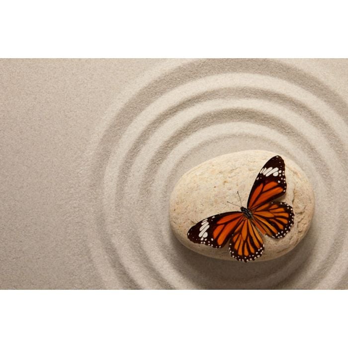 Zen Rock With Butterfly - ID # 53023516