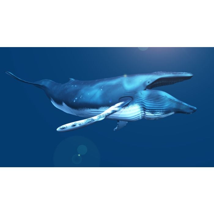 Cgi Blue Whale - ID # 53060896