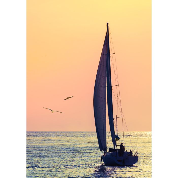 Skyline Sailboat And Two Seagull - ID # 53971724