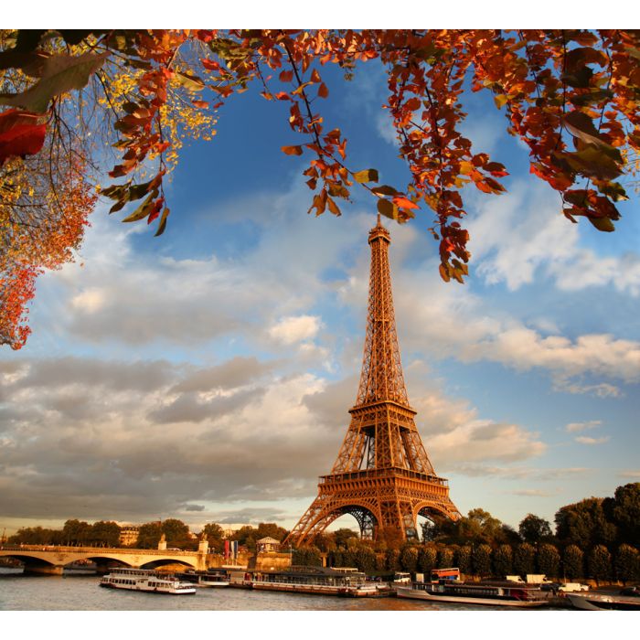 Eiffel Tower With Autumn Leaves In Paris - France - ID # 54161197