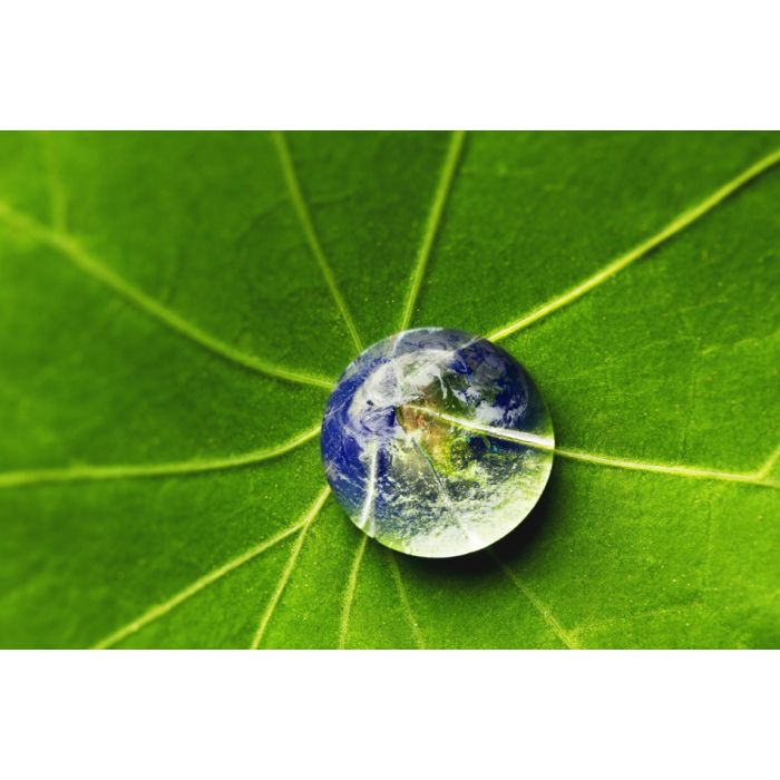 The World In A Drop Of Water On A Leaf  - ID # 54257233