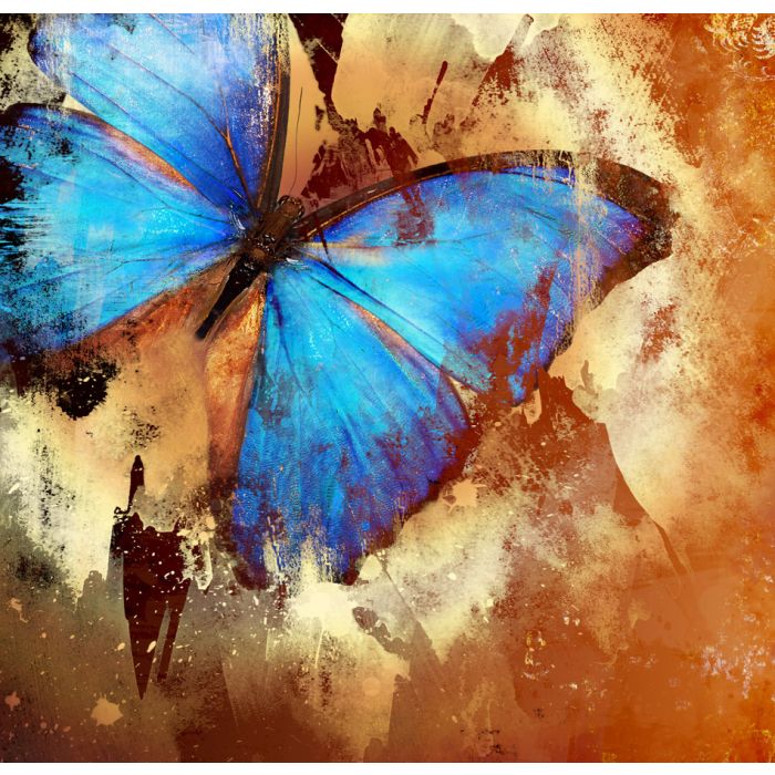 Painted Butterfly - Illustration In Grunge Style - ID # 5633405