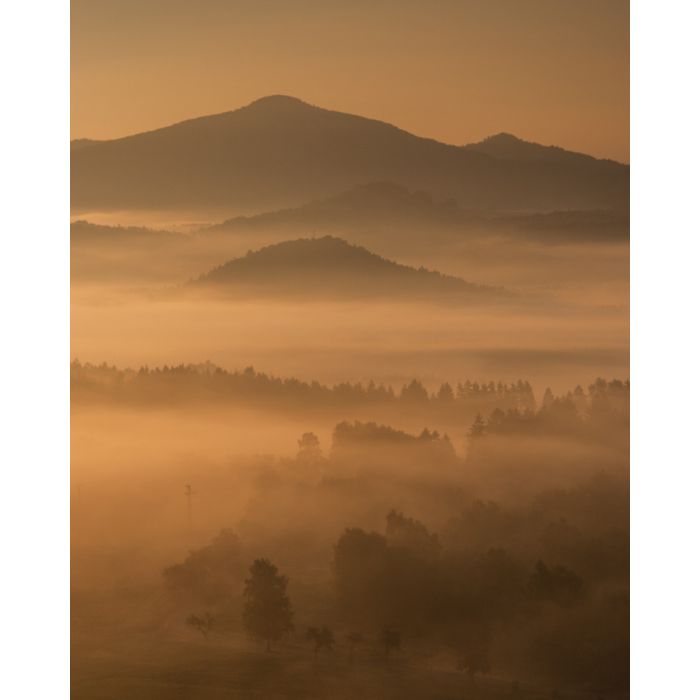 Landscape In The Mist - ID # 58676257