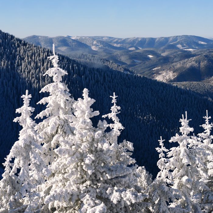 Winter In Mountains - ID # 59076148