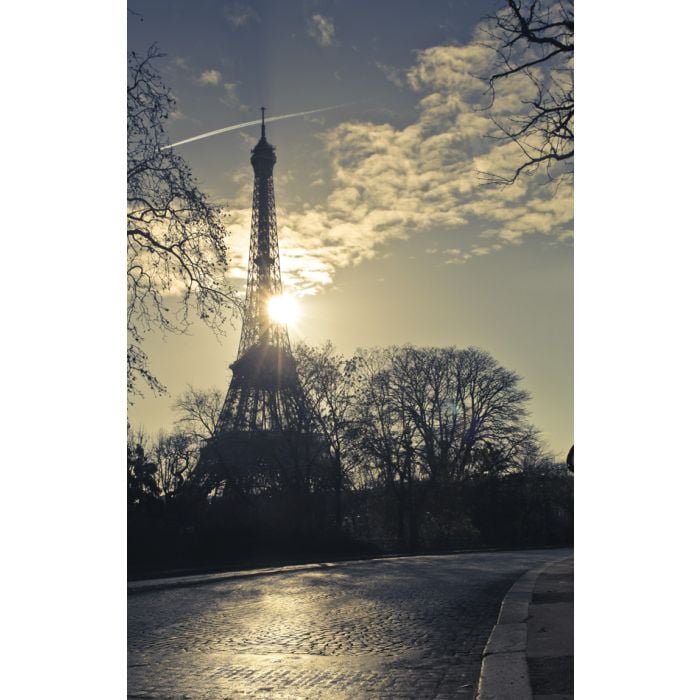 Eiffel Tower - ID # 59447645