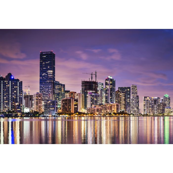 Miami Skyline - ID # 60135959