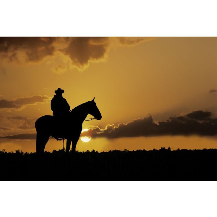 Cowboy  On Horseback And The Setting Sun - ID # 7512949