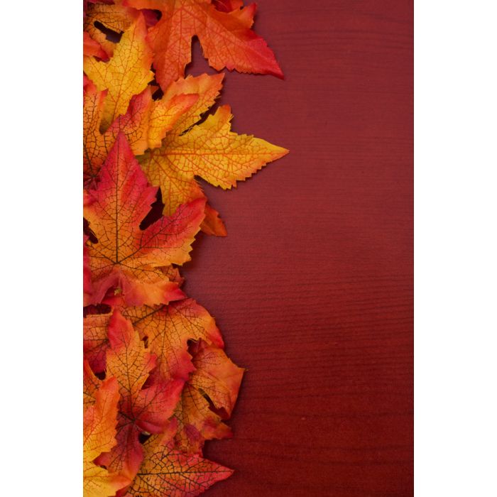 Yellow And Red Fall Leaves On Wood Background - ID # 8949368