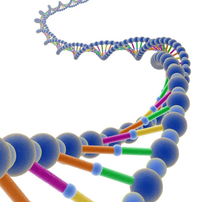 Dna Molecule Helix - ID # 9362560