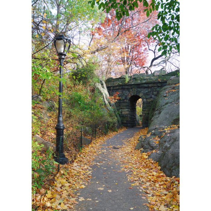 Central Park Path Under Bridge In Fall - ID # 97010001