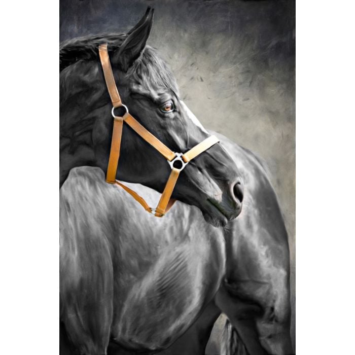 Painting portrait of a horse - ID # 107345045