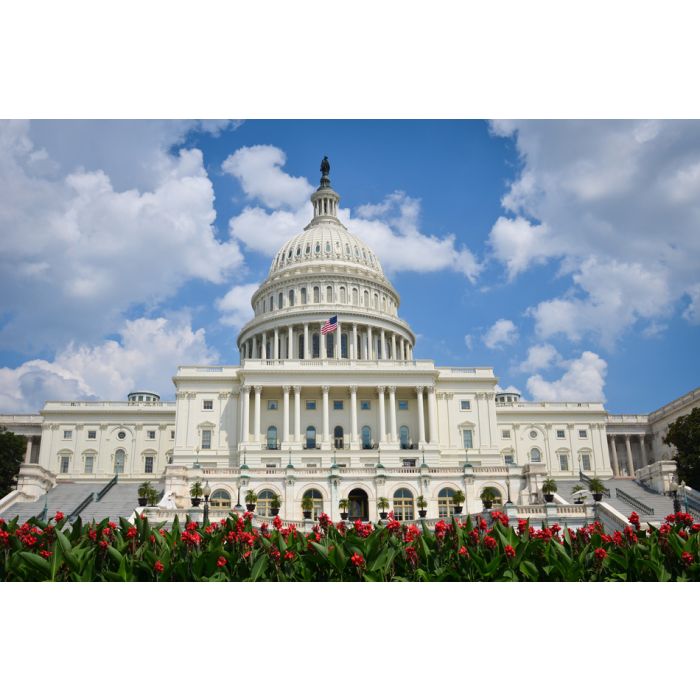 Washington Dc Us Capitol Building In A Cloudy Day - ID # 109755791