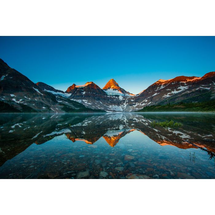 Reflection Of Mount Assiniboine On Magog Lake At Sunrise Alberta - ID # 110500409