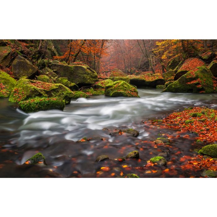 Autumn creek in Czech-Saxony Switzerland - ID # 125347703