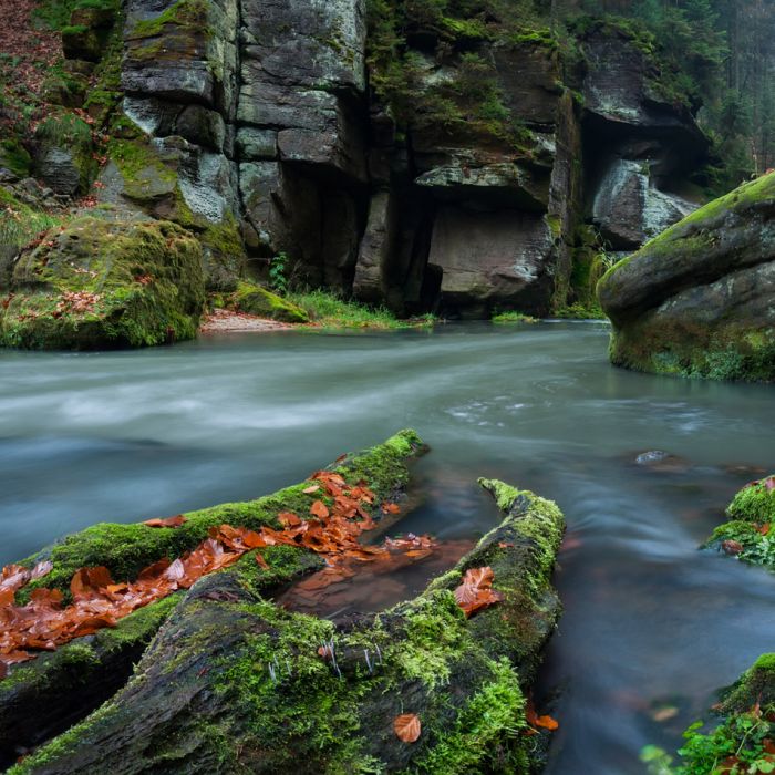 View of a beautiful autumn creek in Czech-Saxony Switzerland  - ID # 131926496