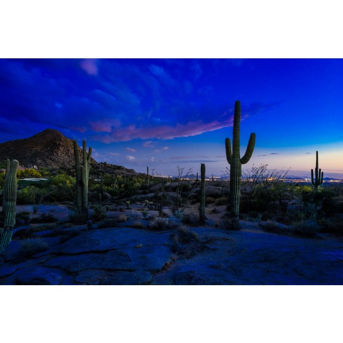 Sunset Over Scottsdale Arizona In The Northern Sonoran Desert - ID # 139742023