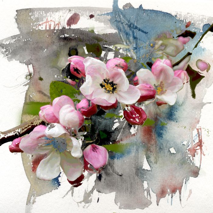 Spring flowers watercolor and mixed media  - ID # 238163641