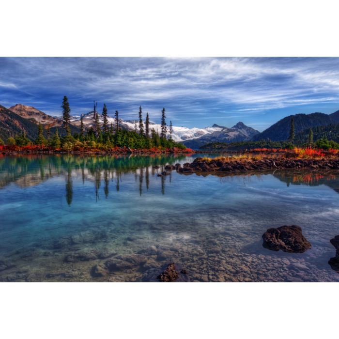 Majestic evergreen trees towering over crisp clear lake - ID # 240688744