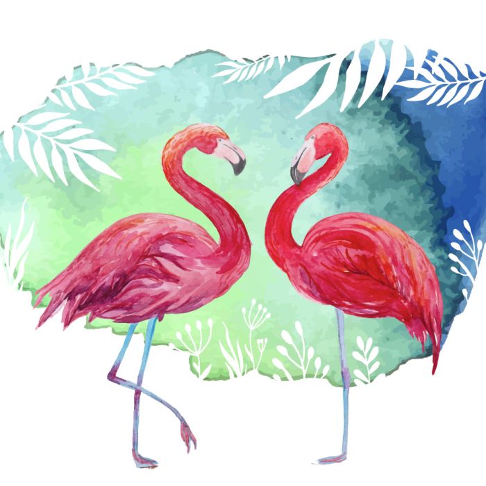 Flamingos Watercolor Tropical Illustration 2 - ID # 241481650