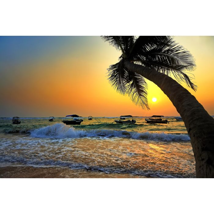 Beautiful tropical sunset with palm trees and boat  - ID # 246970900