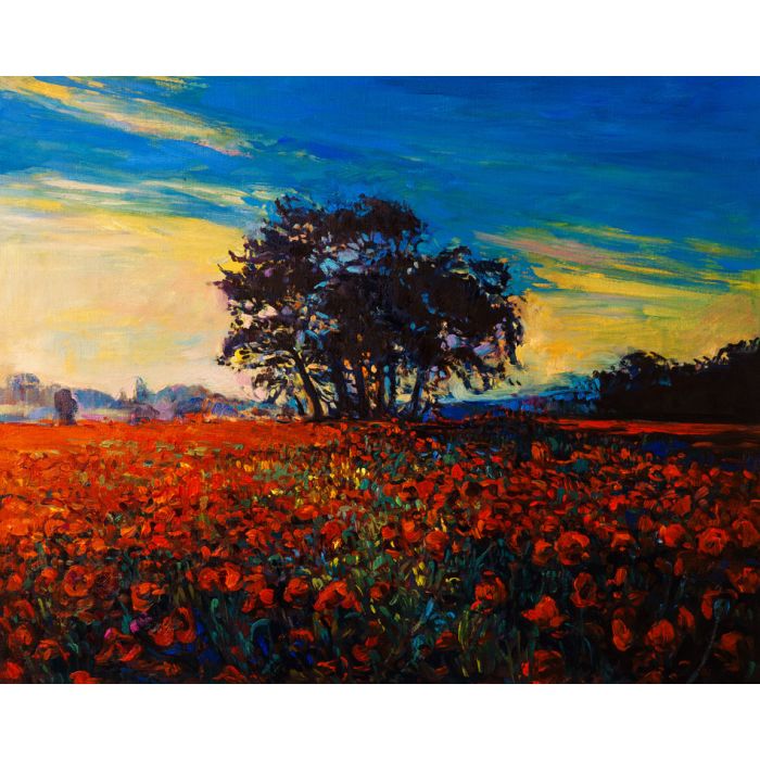 Original oil painting on canvas of Opium poppies Red poppies  - ID # 247196731