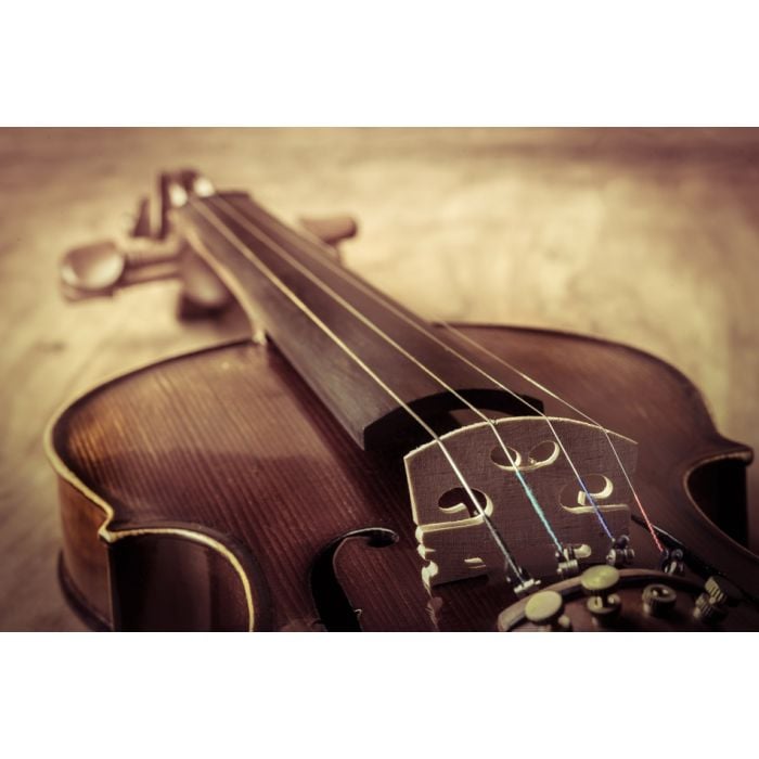 Still life with vintage violin - ID # 247436857